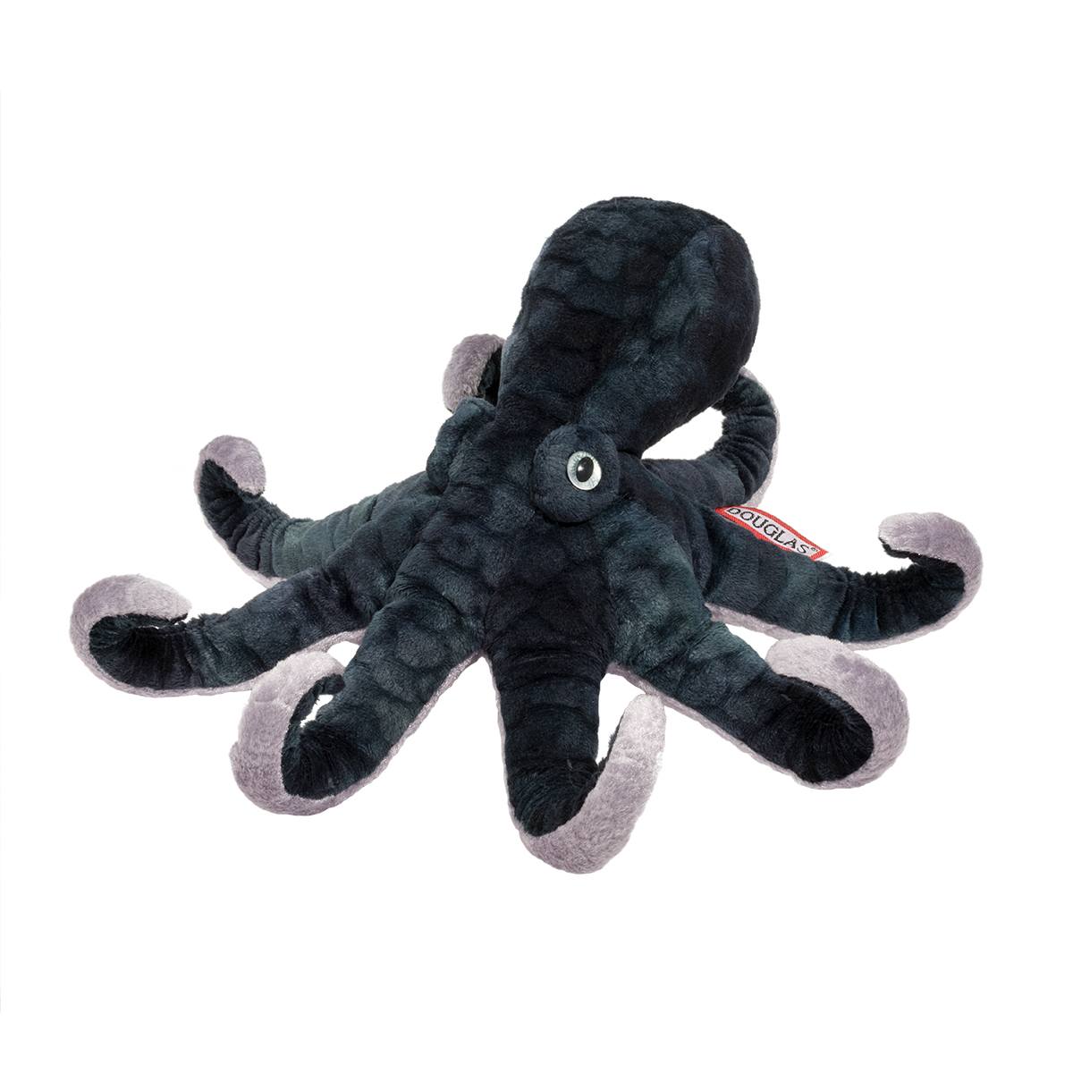 Winky Octopus    