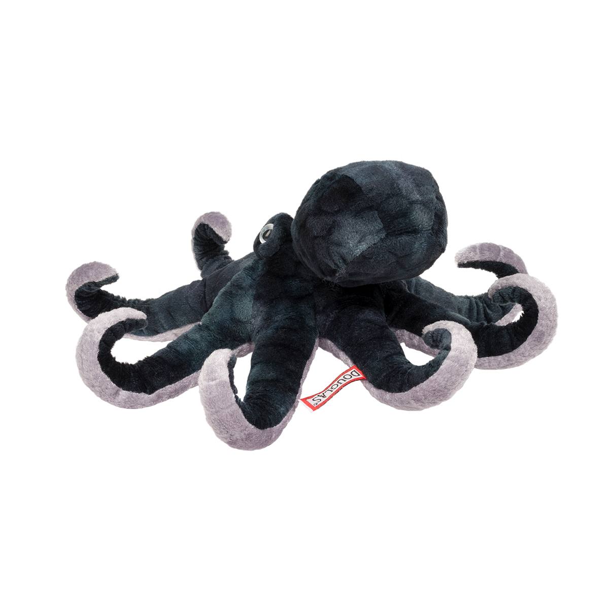 Winky Octopus    