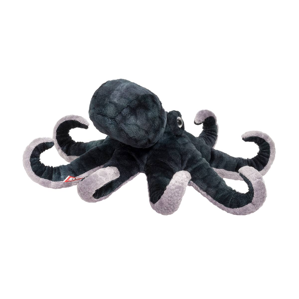 Winky Octopus    