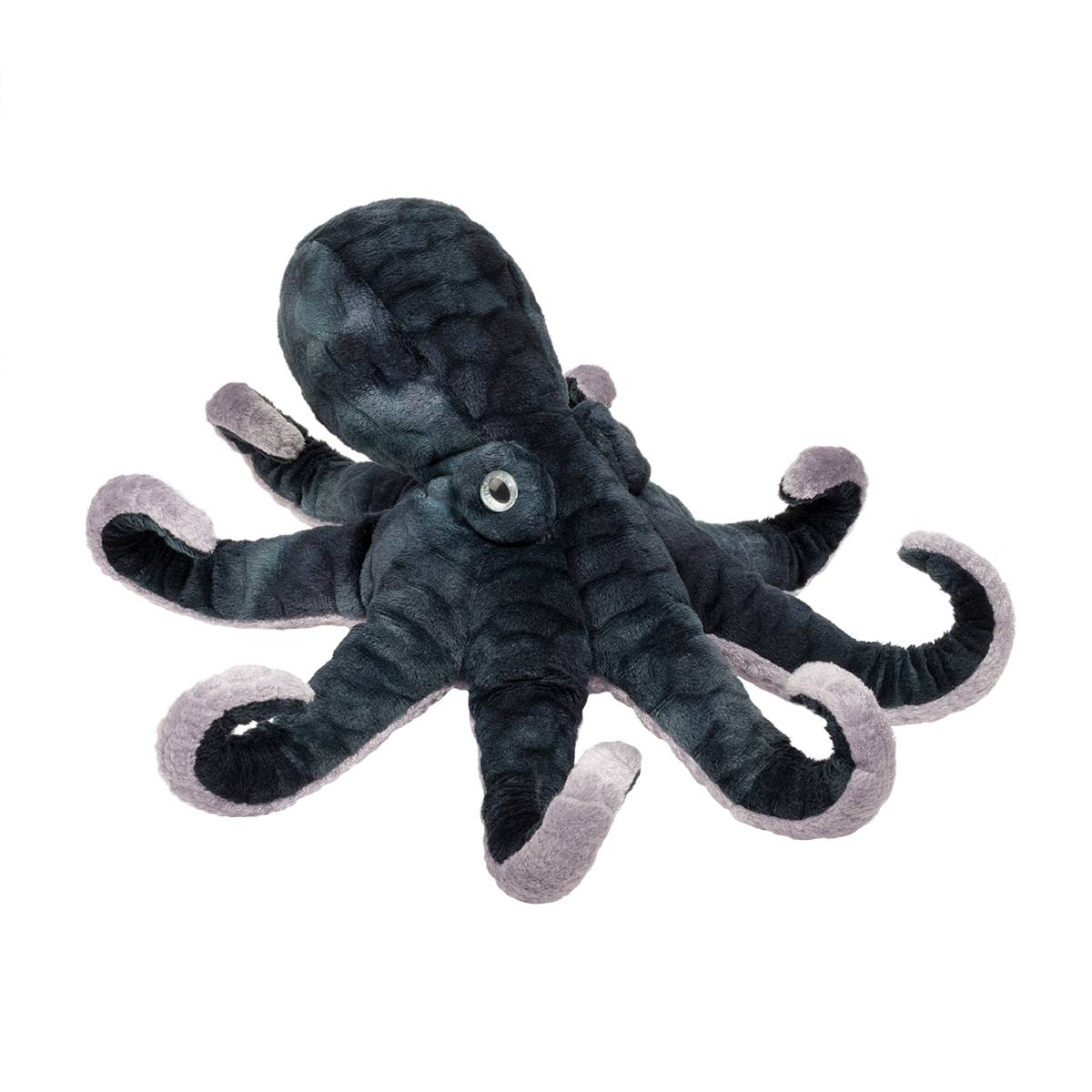 Winky Octopus    