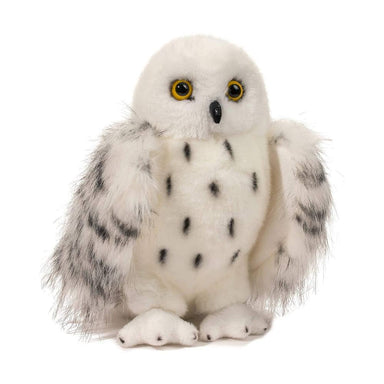 Wizard Snowy Owl    