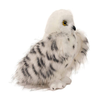 Wizard Snowy Owl    