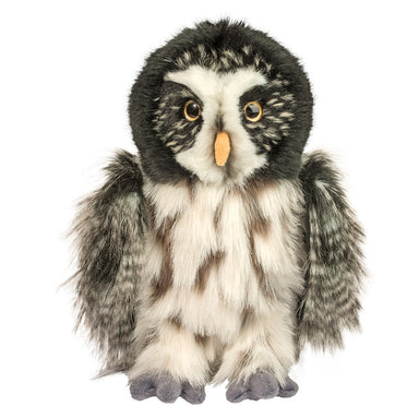 Darius Owl    