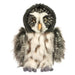Darius Owl    