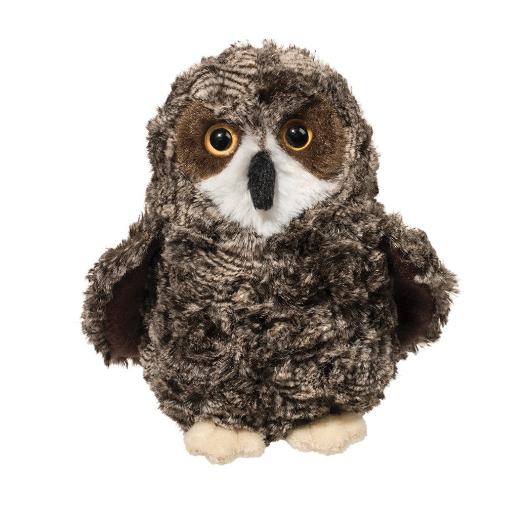Shrill Saw-Whet Owl    