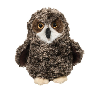 Shrill Saw-Whet Owl    