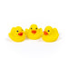 Classic Rubber Duck    