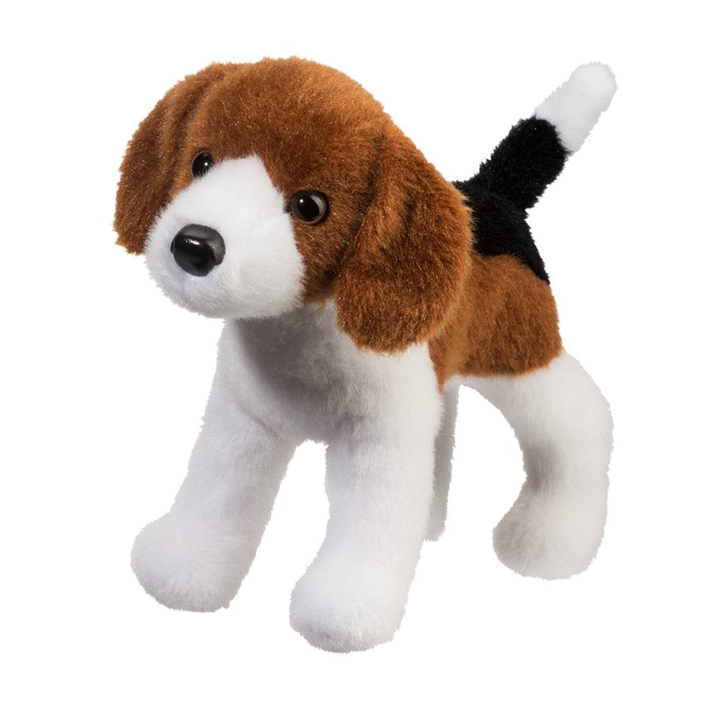 Bob Beagle    