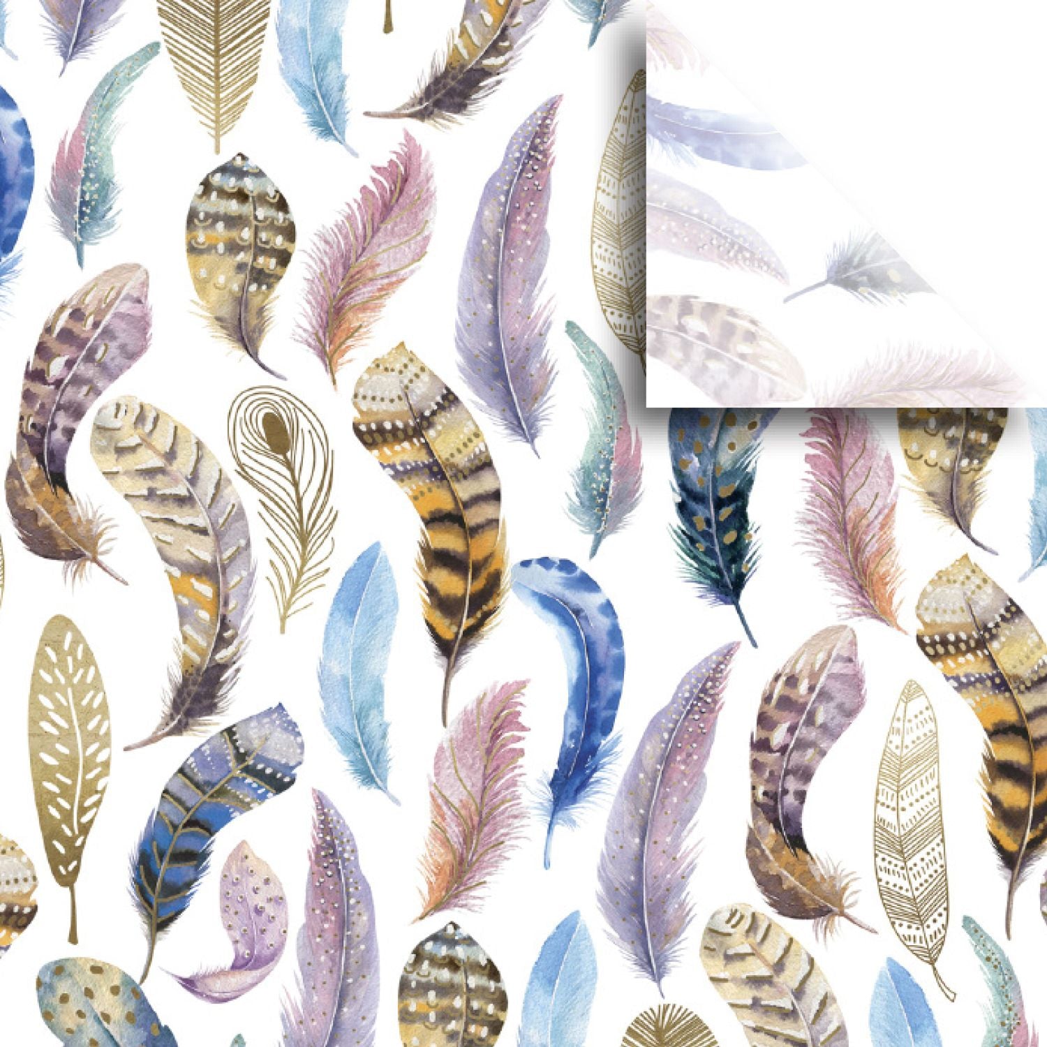Tissue Paper - Featherly    