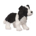 Meadow Border Collie    