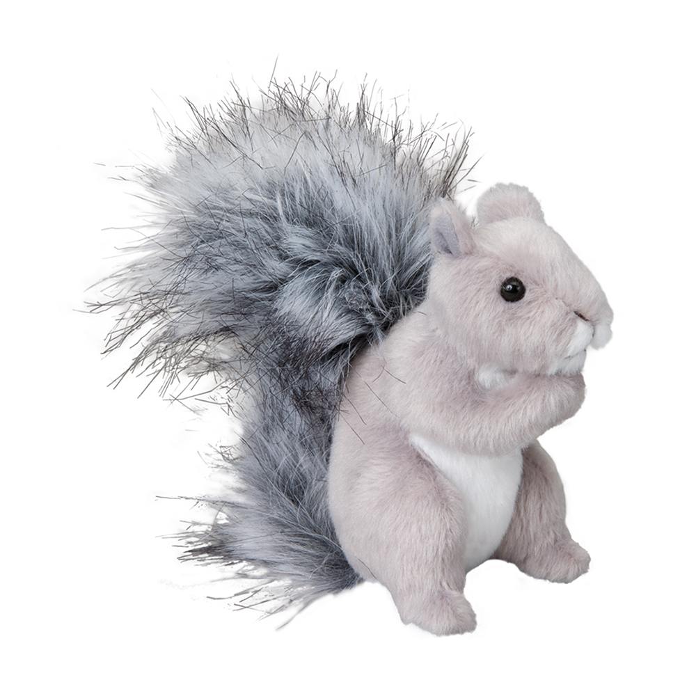 Shasta Gray Squirrel    