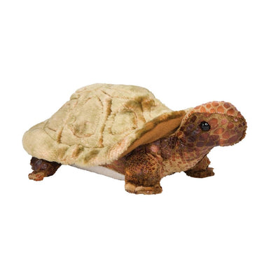 Speedy Tortoise    