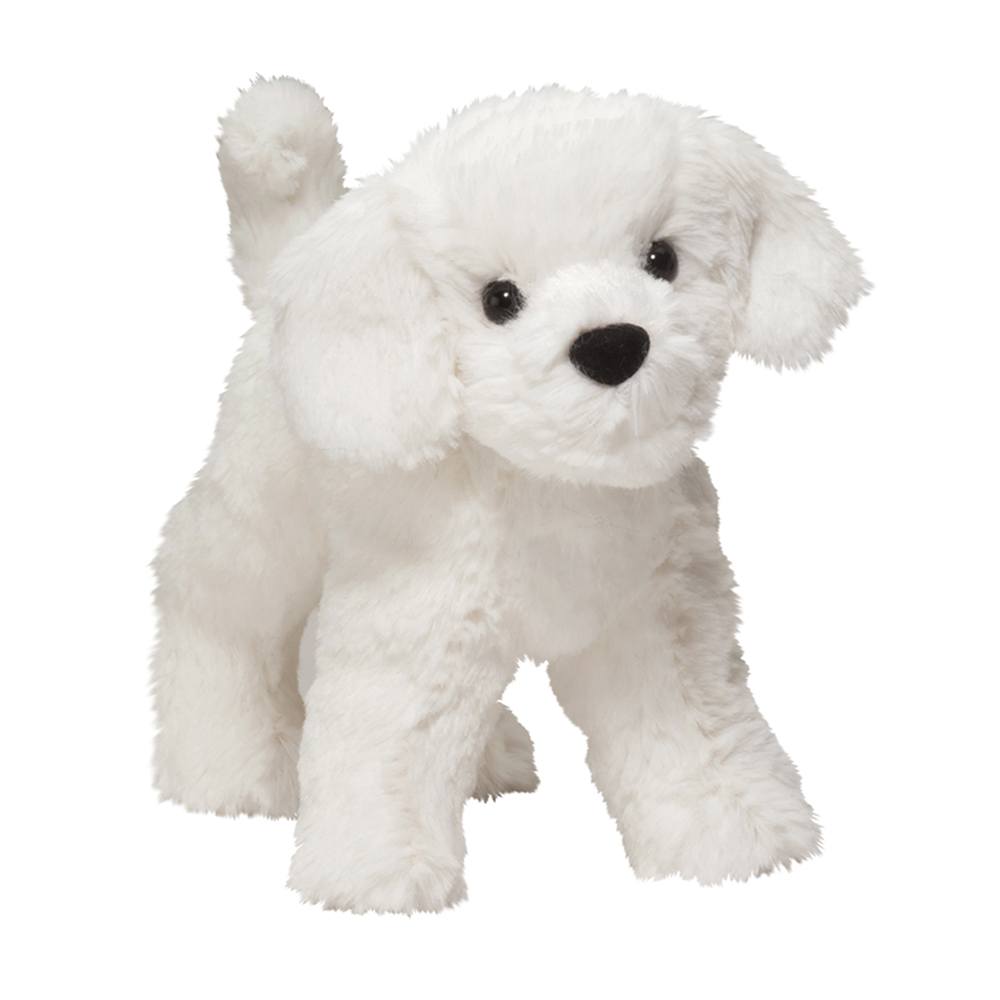 Dandelion Puff Bichon Dog    