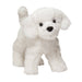 Dandelion Puff Bichon Dog    