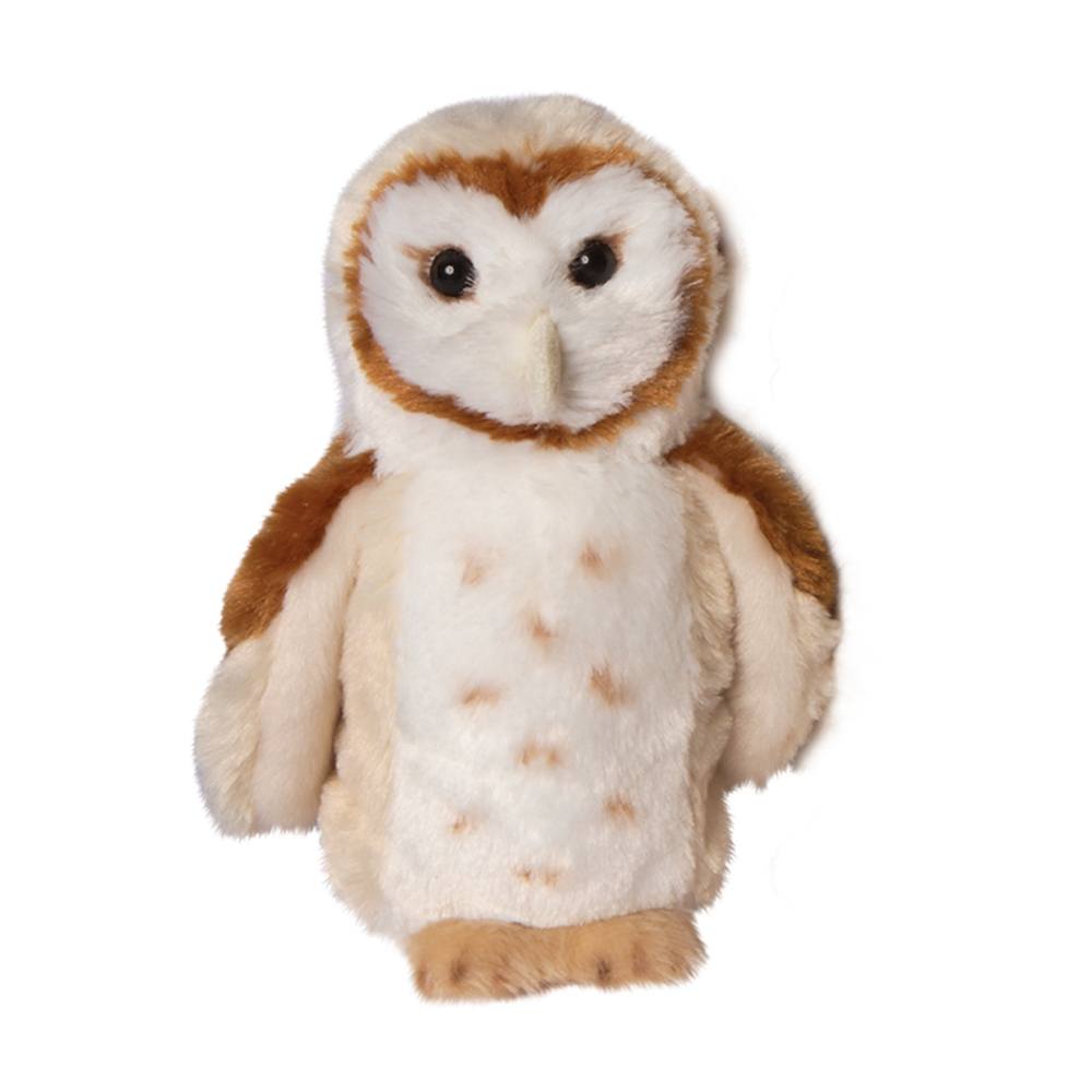 Rafter Barn Owl    