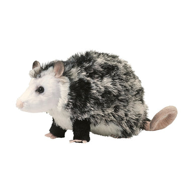 Oliver Possum    