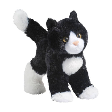 Snippy Black And White Cat    