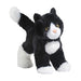 Snippy Black And White Cat    
