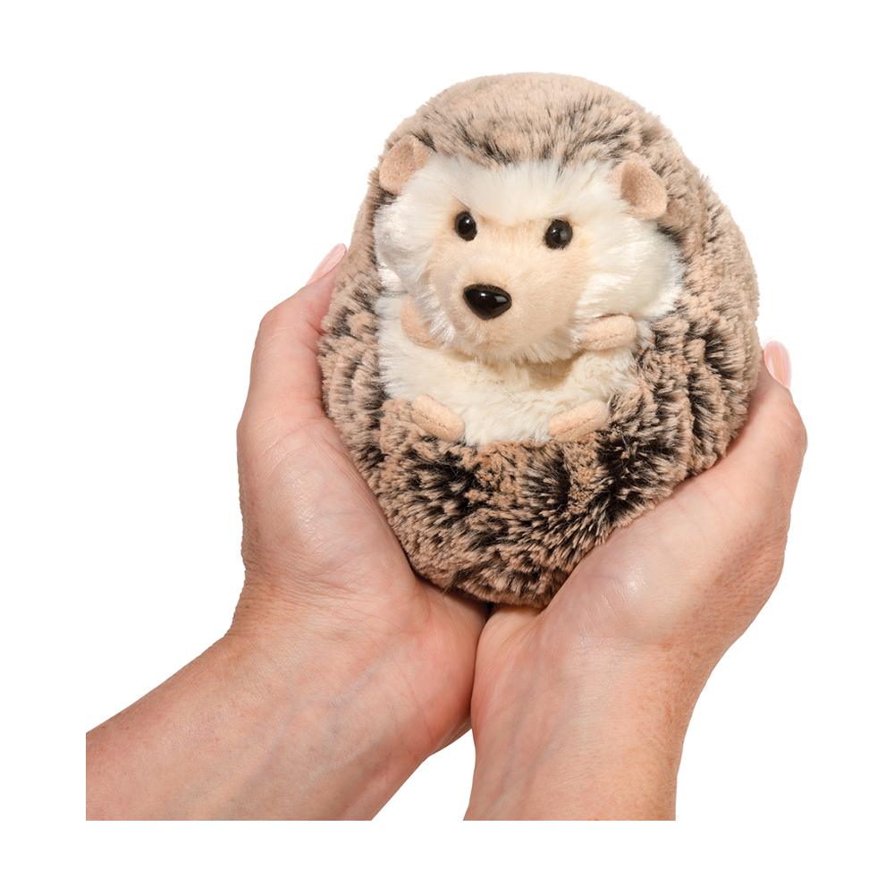 Small Spunky Hedgehog    