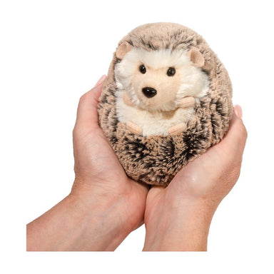 Small Spunky Hedgehog    