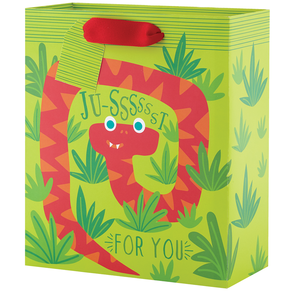 Silly Snakes - Medium Gift Bag    