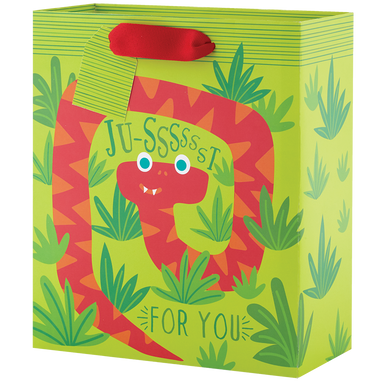 Silly Snakes - Medium Gift Bag    