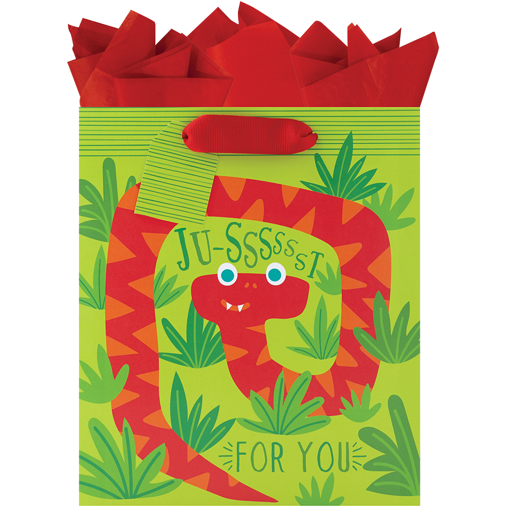 Silly Snakes - Medium Gift Bag    