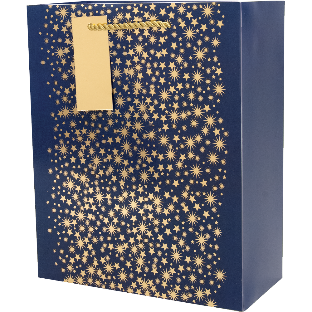 Midnight Sky - Medium Gift Bag    
