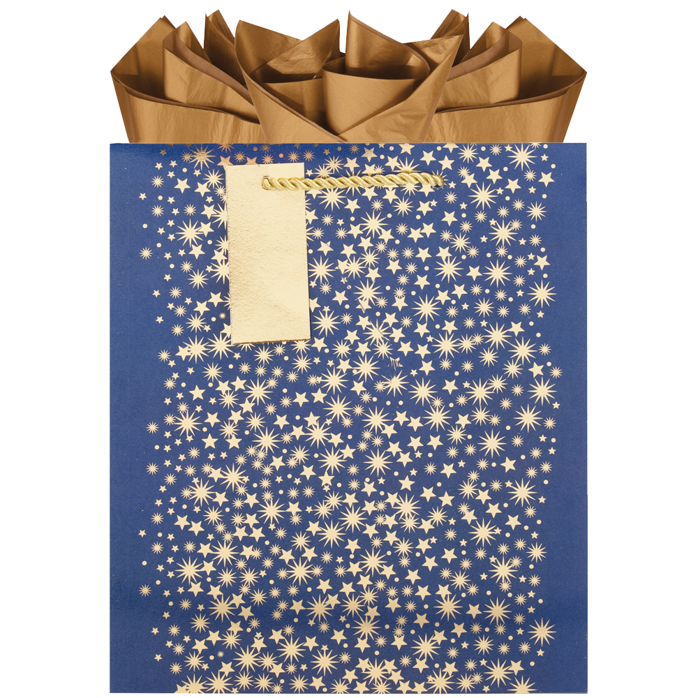 Midnight Sky - Medium Gift Bag    