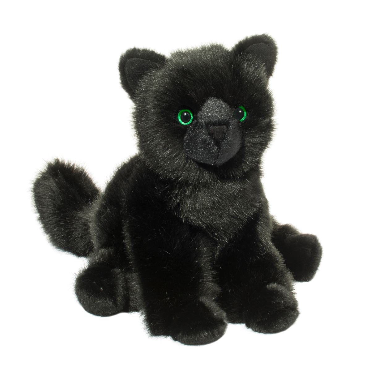 Salem Black Cat    