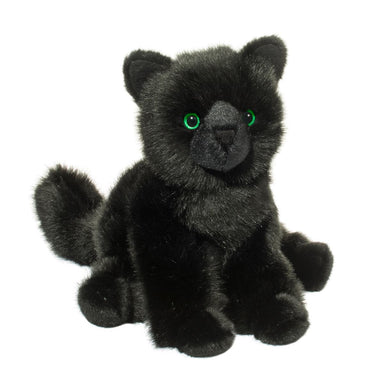 Salem Black Cat    