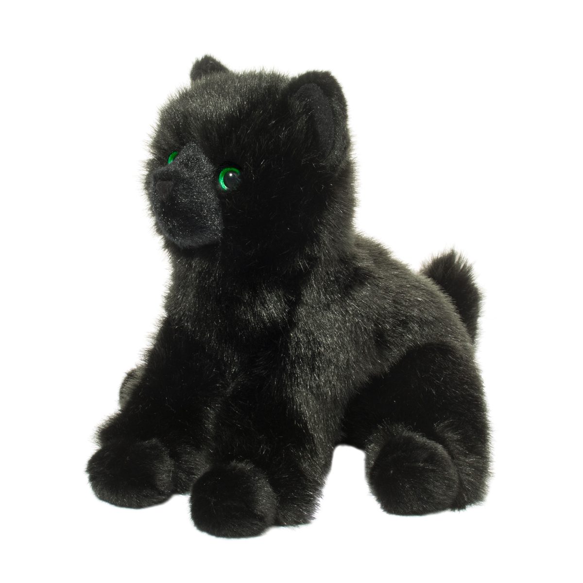 Salem Black Cat    