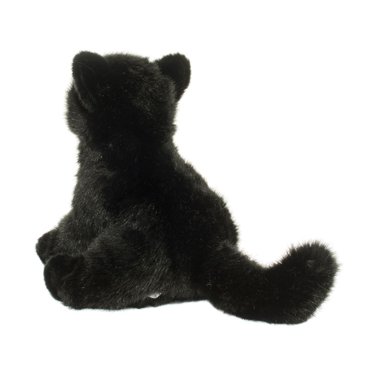 Salem Black Cat    
