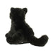 Salem Black Cat    