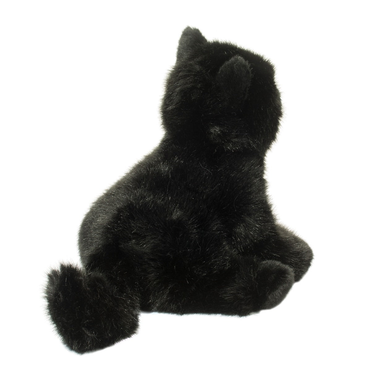 Salem Black Cat    