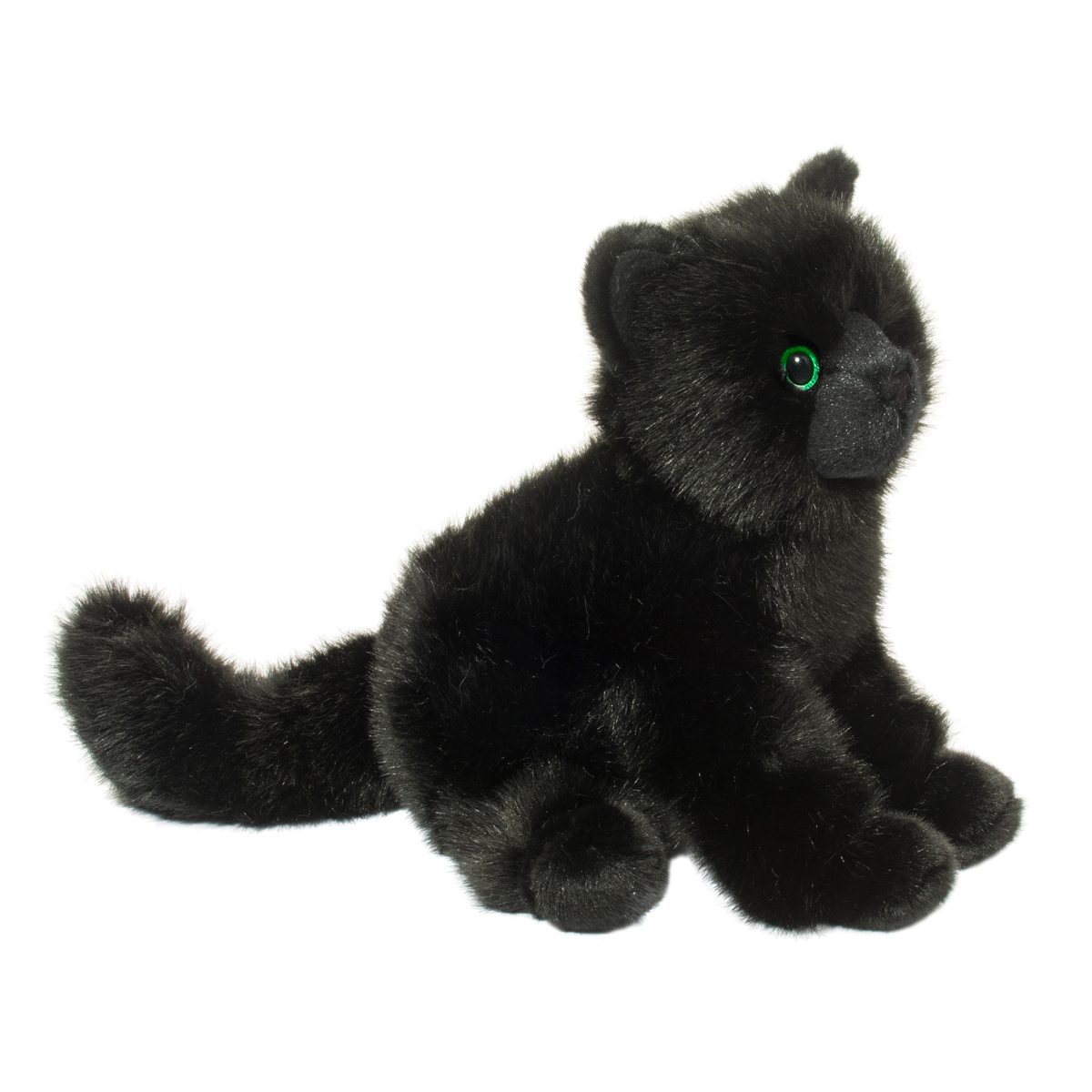 Salem Black Cat    