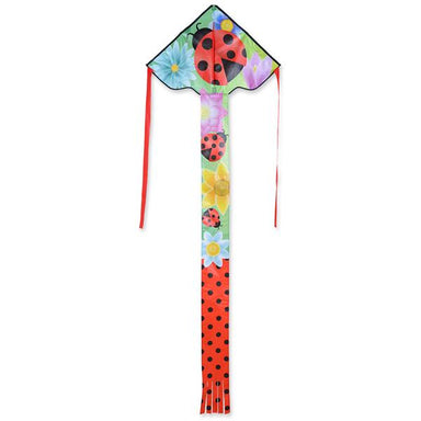 Ladybug - 30 Inch Easy Flyer Kite