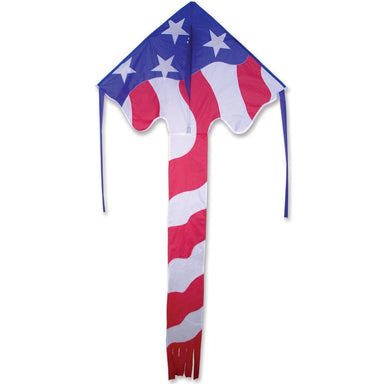 Patriotic - 46 Inch Easy Flyer Kite    