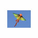 Orange Dragon - Mystic Flyer Kite    
