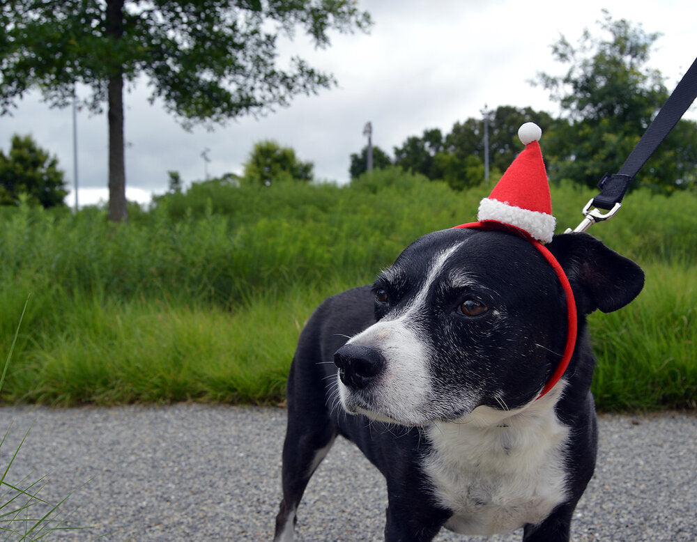 Santa Hat Headband    
