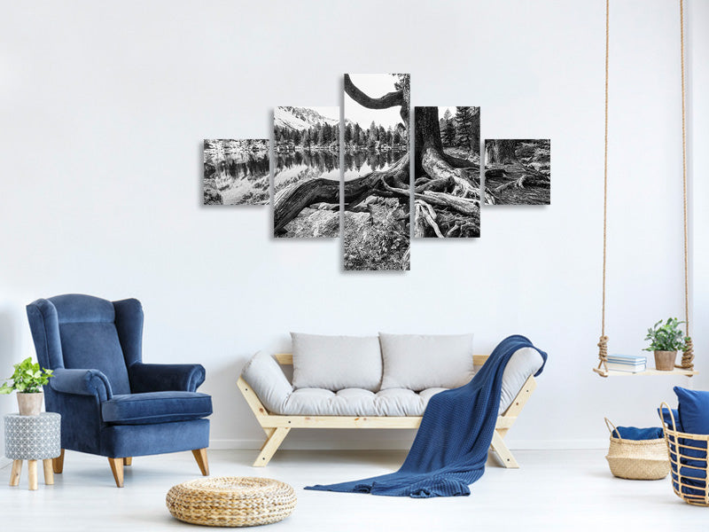 5-piece-canvas-print-old-tree