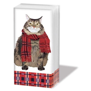 Sniff - Harry Cat    