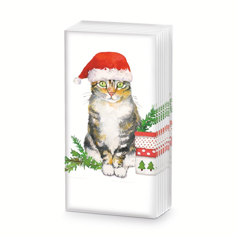 Sniff - Christmas Kitty    