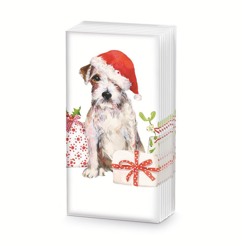 Sniff - Christmas Pup    