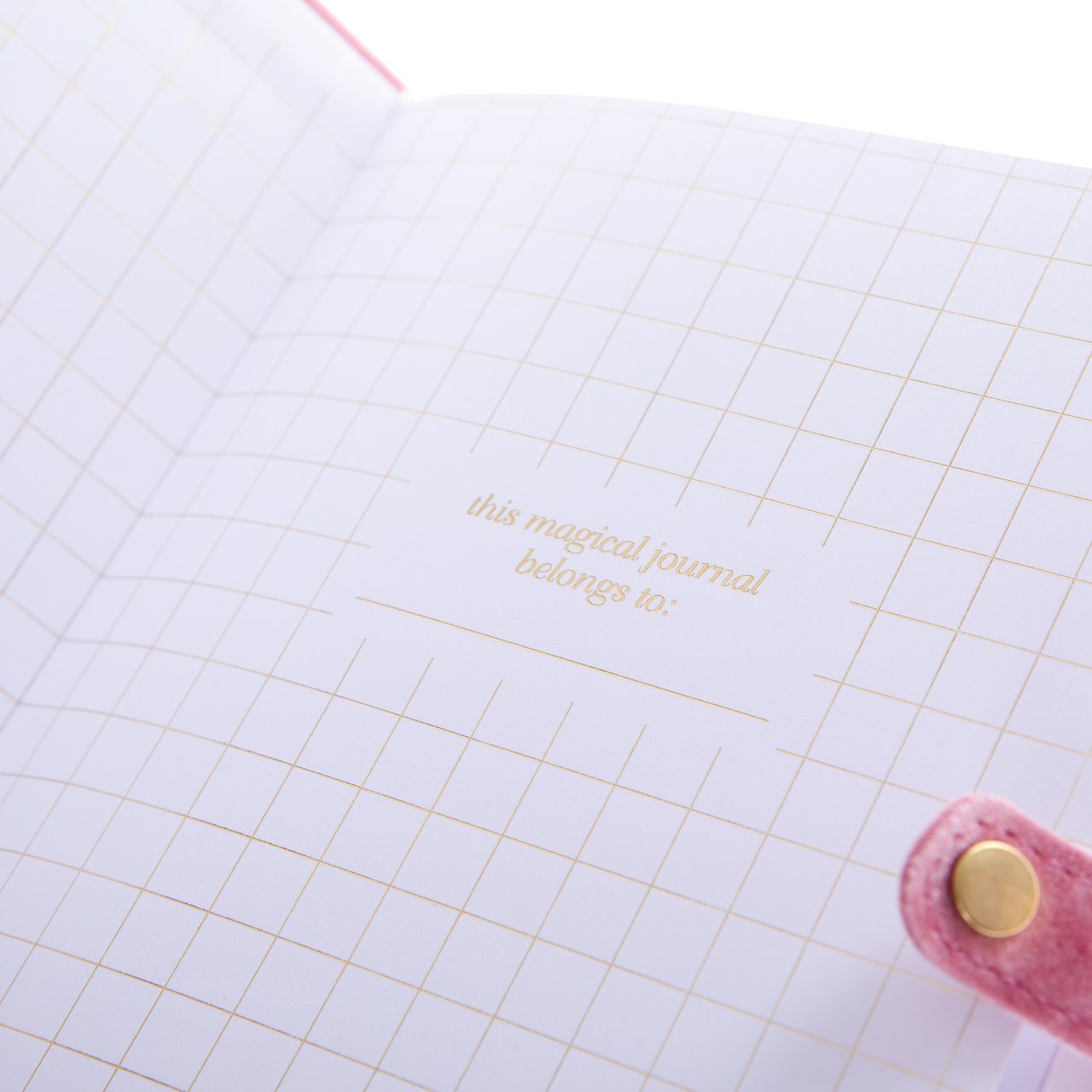 Snap Journal - Pink Velvet    