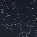 Jumbo Roll Wrapping Paper - Navy Stars    