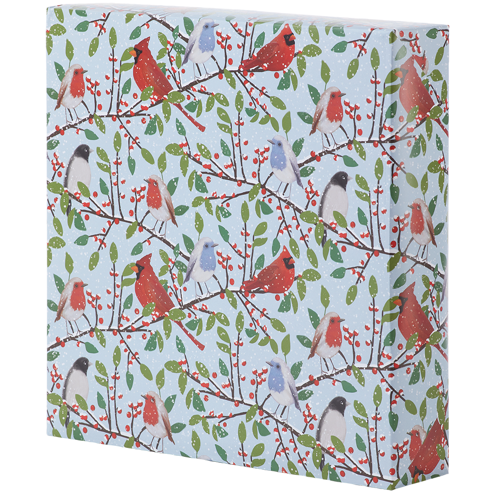 Jumbo Roll Wrapping Paper - Avifauna    