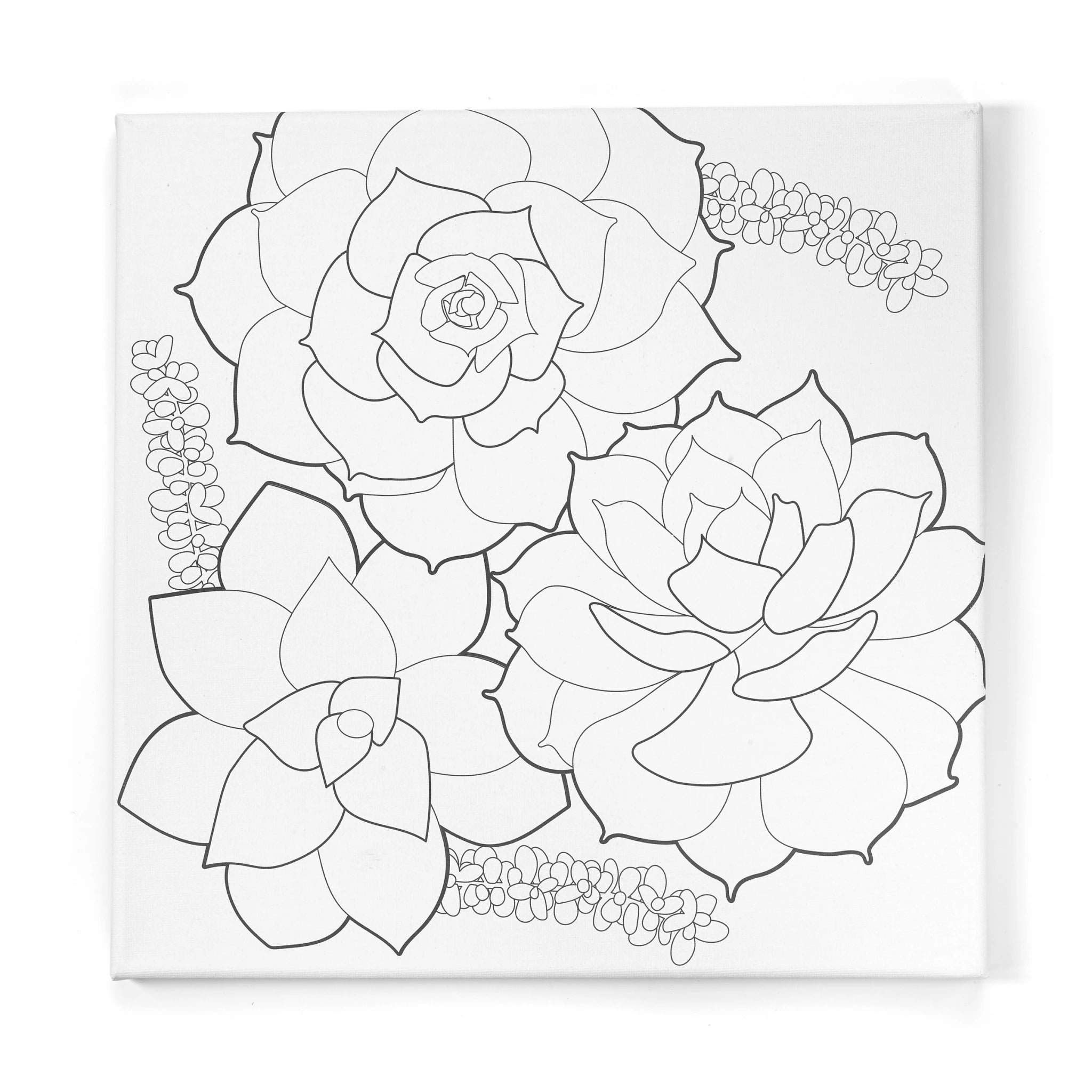 Paint By Number Watercolor Set - Succulents    