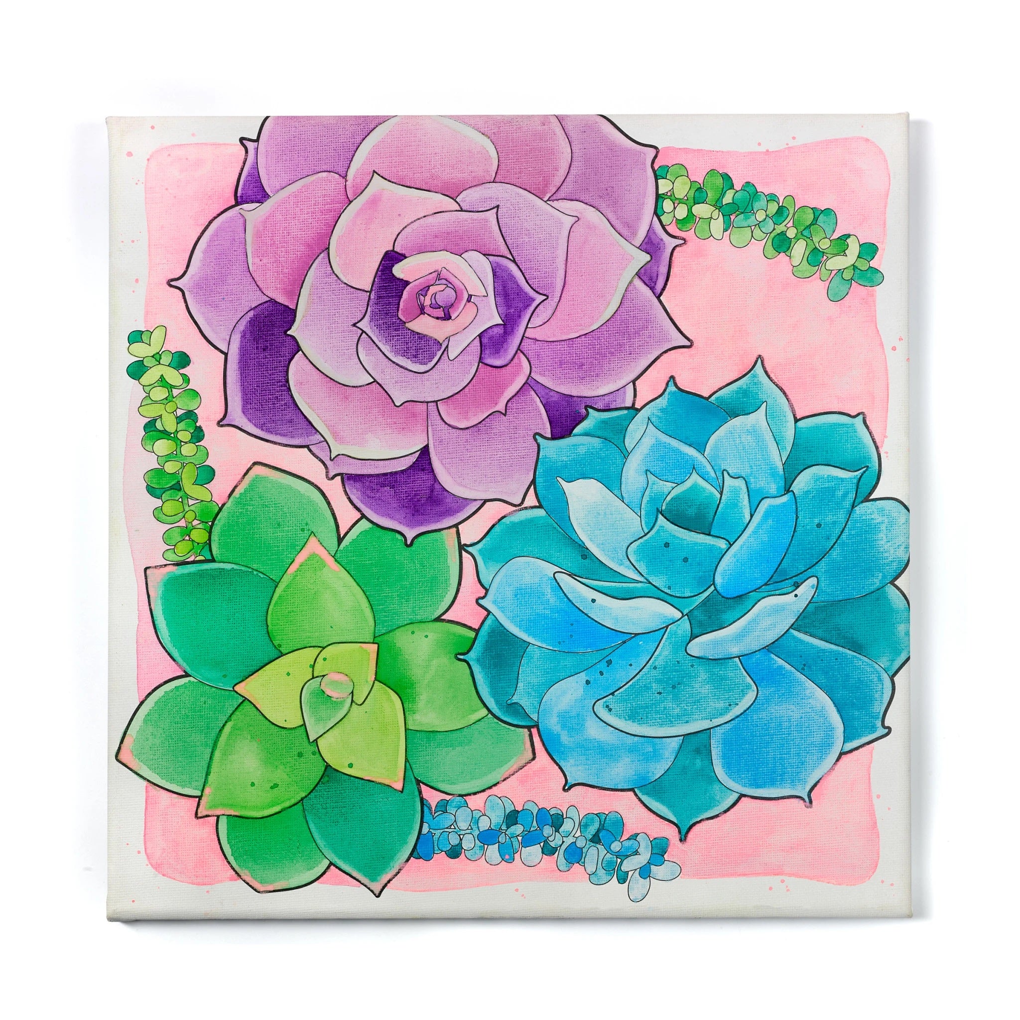 Paint By Number Watercolor Set - Succulents    