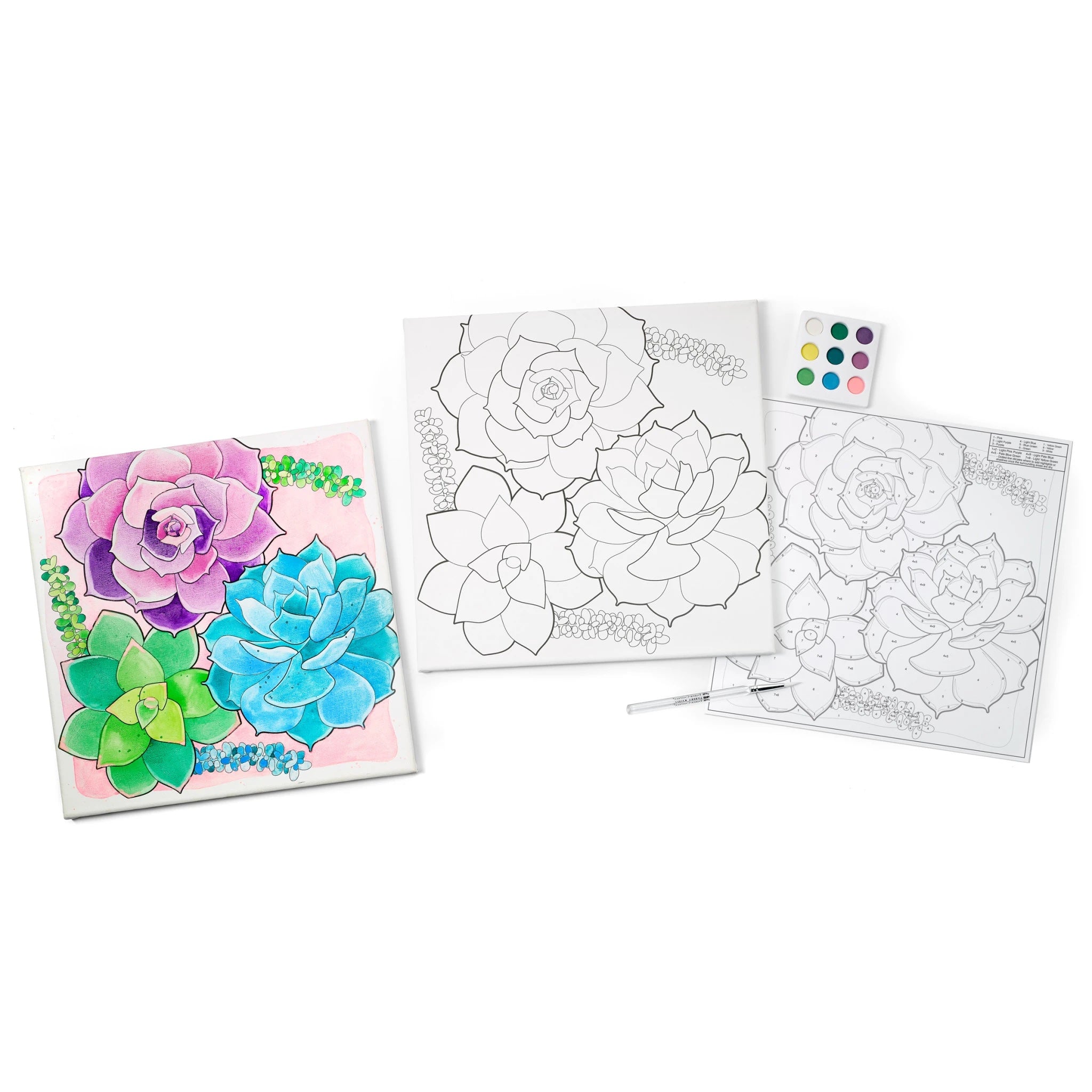Paint By Number Watercolor Set - Succulents    